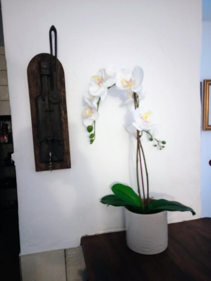 Ferienwohnung Casa Jaruf Centro Historico Parking Gratuito Patio Petfriendly Arcos de la Frontera Exterior foto